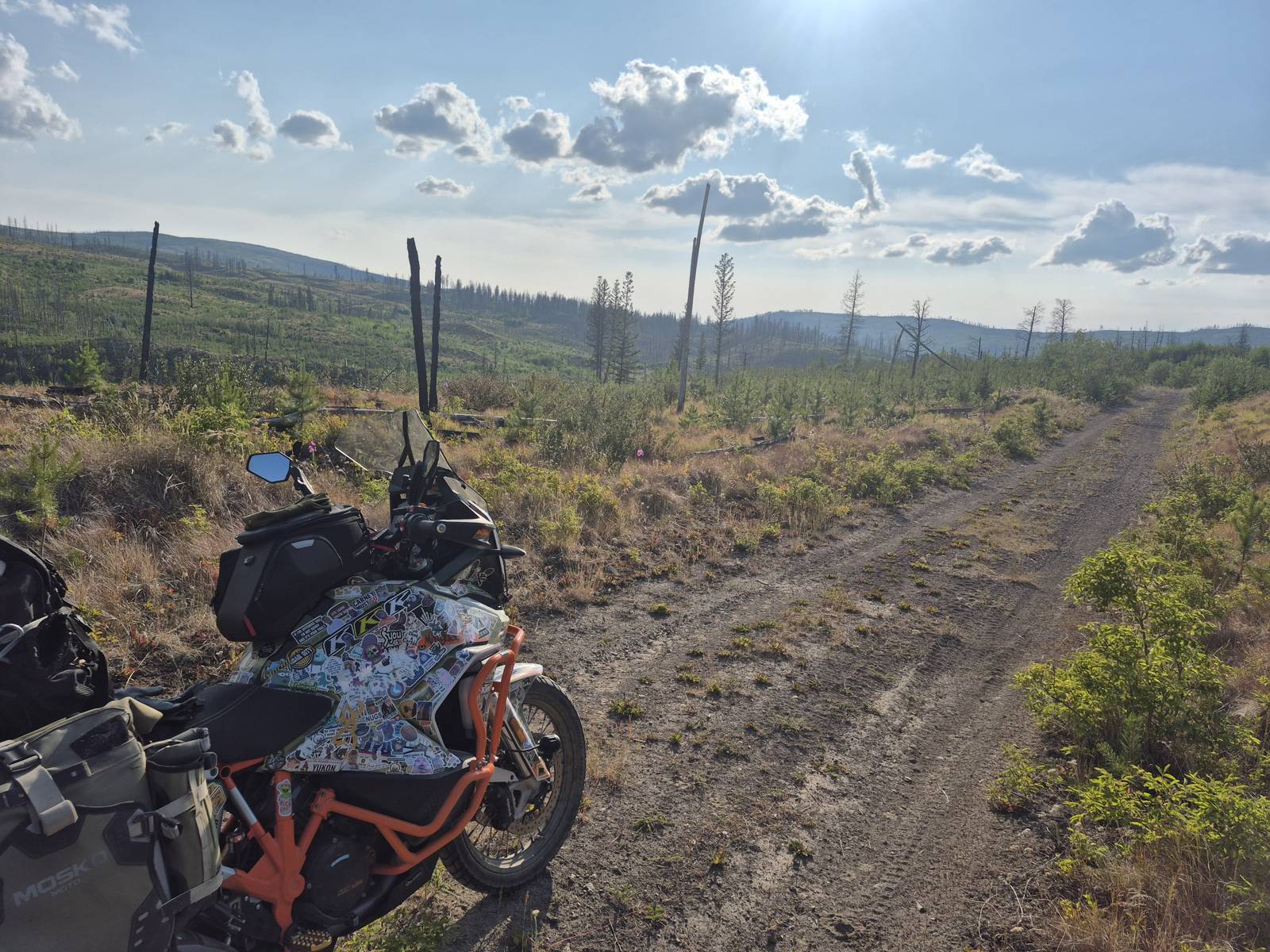 Motorcycle on a dirt doubletrack through a regrowing burn under a big sky